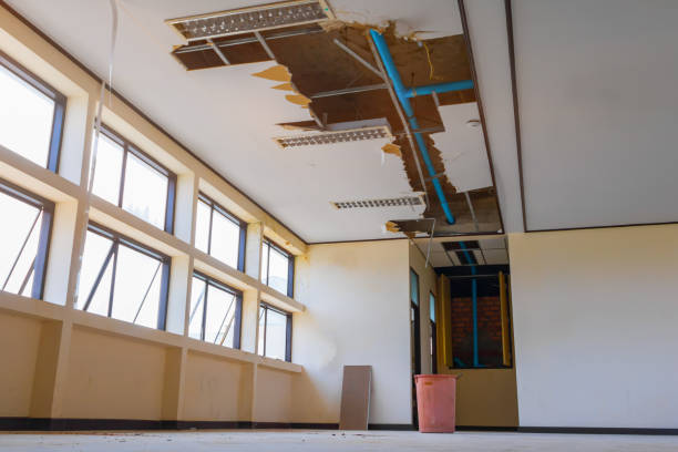 Best Mold removal after water damage  in San Luis, AZ