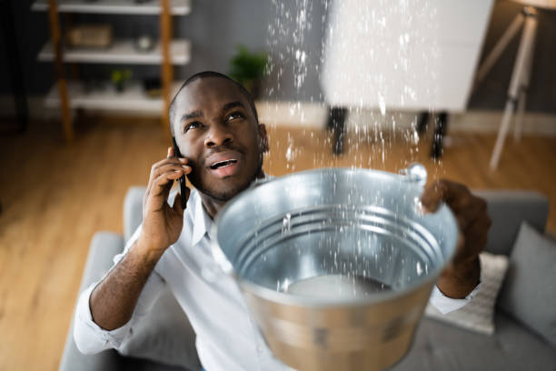 Best 24/7 water damage repair  in San Luis, AZ