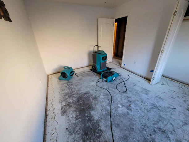 Best Water damage restoration near me  in San Luis, AZ