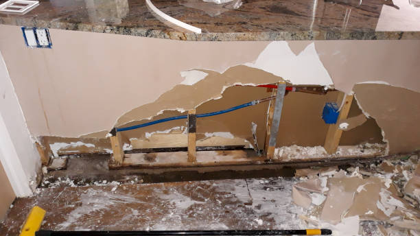 Best Sewage cleanup and water damage restoration  in San Luis, AZ