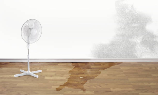 Best Commercial water damage restoration  in San Luis, AZ