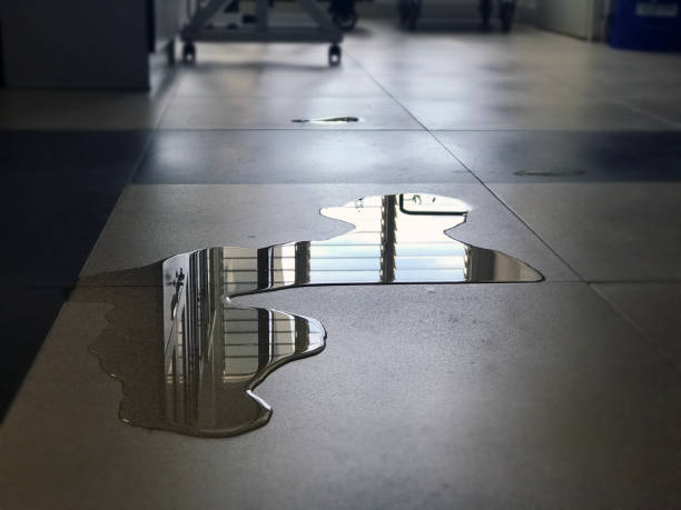 Best 24/7 water damage repair  in San Luis, AZ