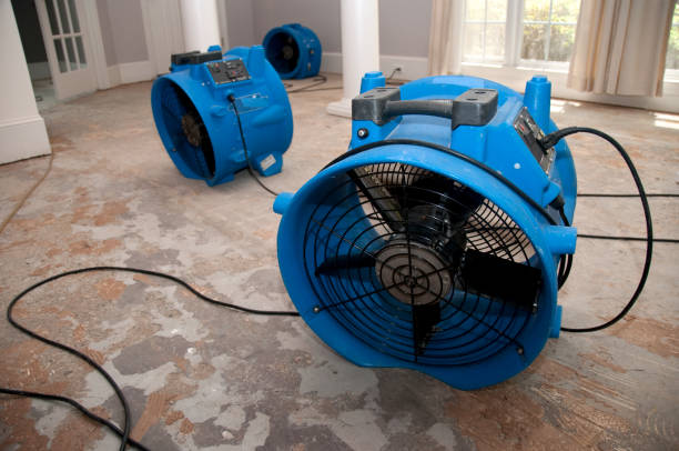Best Water damage restoration near me  in San Luis, AZ