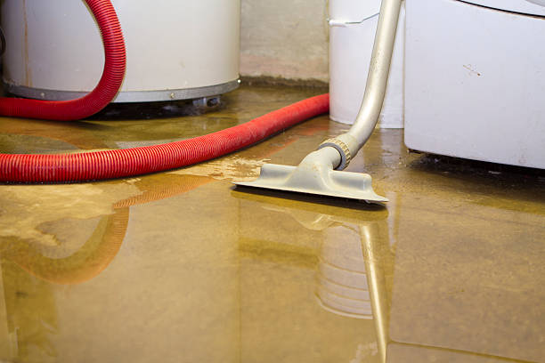 Best Emergency water damage restoration  in San Luis, AZ