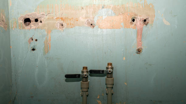 Best Emergency water damage restoration  in San Luis, AZ