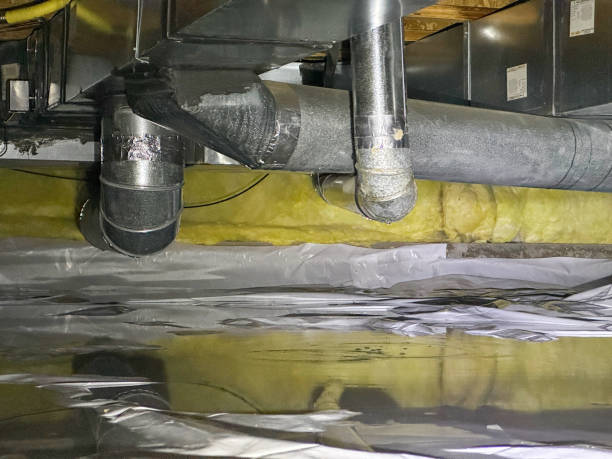 Best Mold removal after water damage  in San Luis, AZ