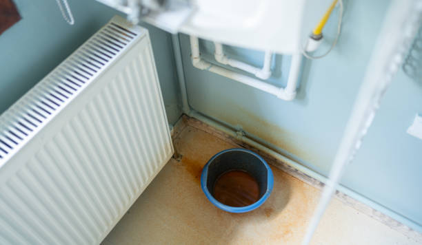 Best Water damage cleanup near me  in San Luis, AZ