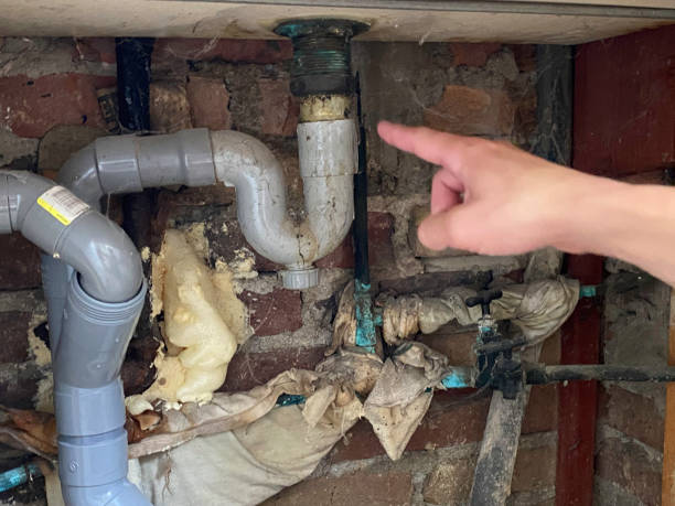 Best Water damage mitigation services  in San Luis, AZ