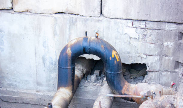Best Flooded house restoration  in San Luis, AZ