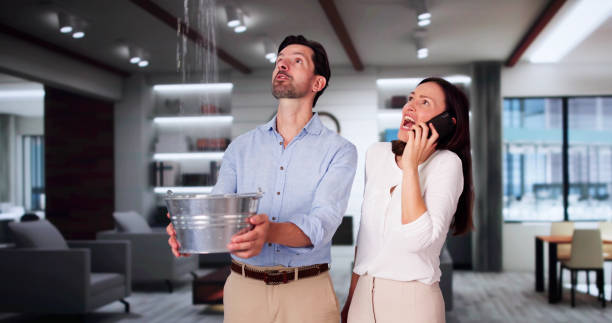  San Luis, AZ Water damage restoration Pros