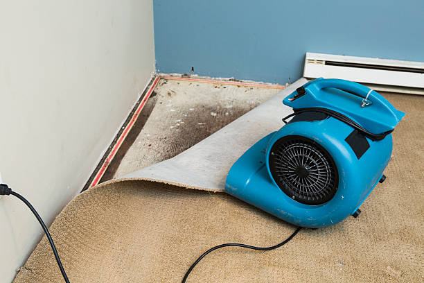 Trusted San Luis, AZ Water damage restoration Experts